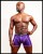 WR11 PURPLE PHILL.jpg